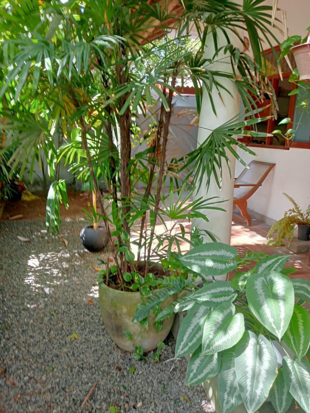 New Villa Unawatuna Exterior foto